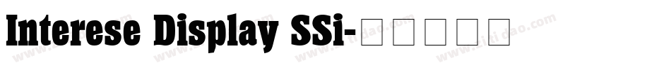 Interese Display SSi字体转换